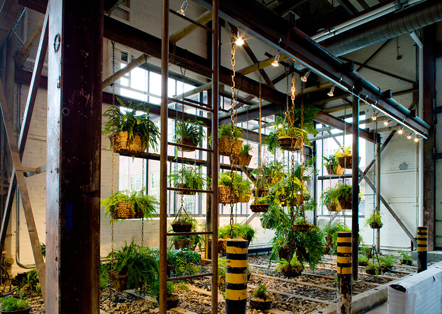 Desain Kantor Paling Keren di Dunia - Desain kantor keren - Urban Outfitters 05