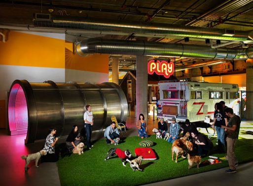 Desain Kantor Paling Keren di Dunia