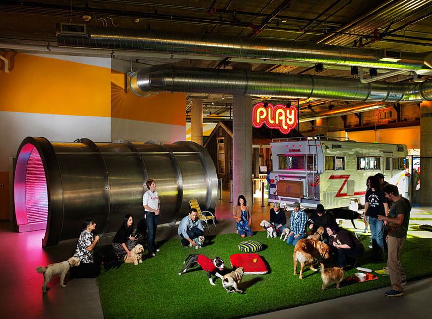 Desain Kantor Paling Keren di Dunia - Desain kantor keren - Zynga 01