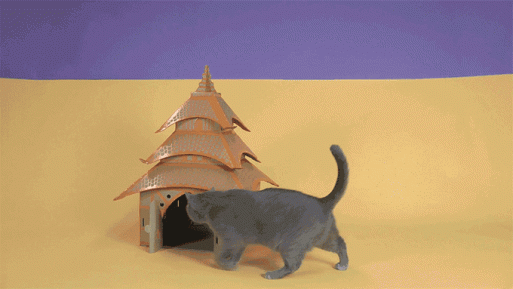 Rumah Kucing Gaya Arsitektur