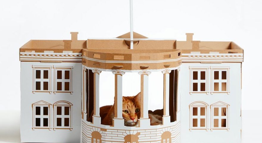 Rumah Kucing Gaya Arsitektur