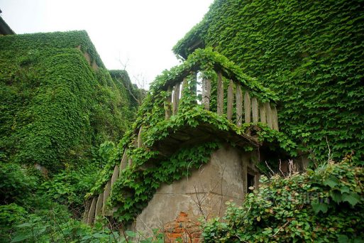 Abandoned Village in China
