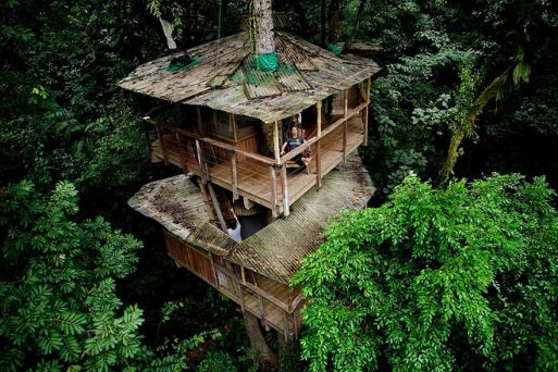 Most Astonishing Treehouses