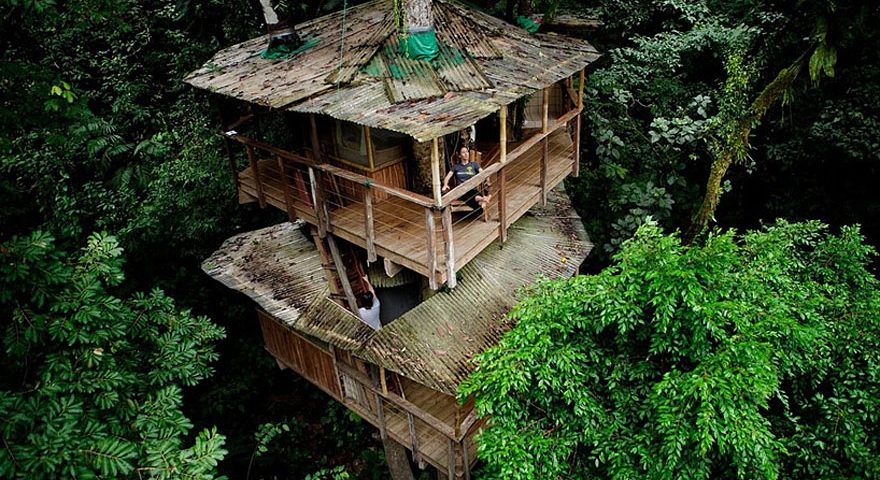 Most Astonishing Treehouses