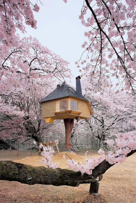 Most Astonishing Treehouses