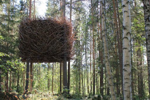 Most Astonishing Treehouses