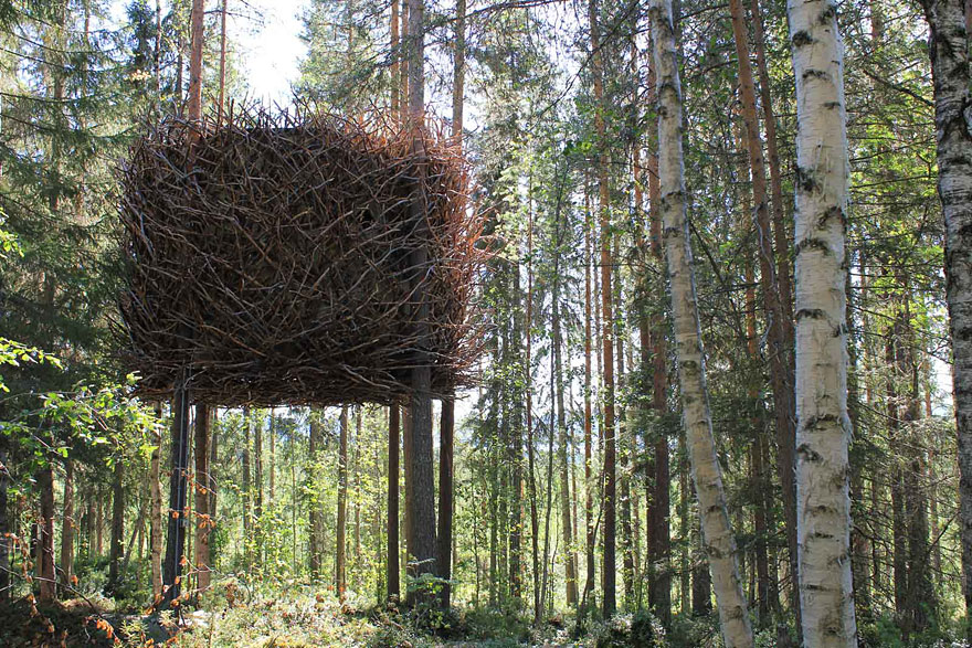 Most Astonishing Treehouses