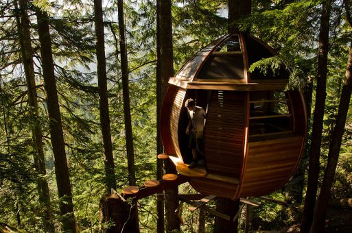 Most Astonishing Treehouses