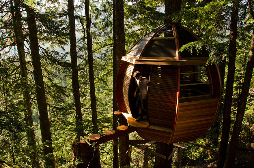 Most Astonishing Treehouses