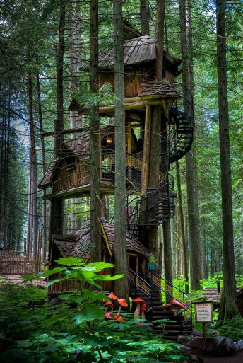 Most Astonishing Treehouses