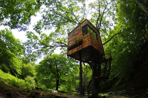 Most Astonishing Treehouses
