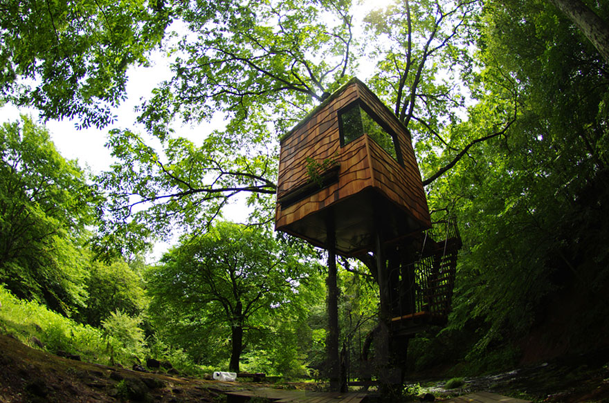 Most Astonishing Treehouses