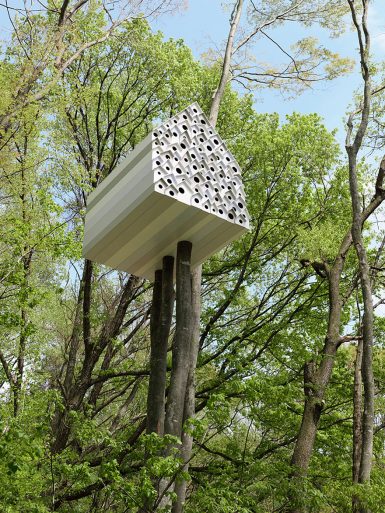 Most Astonishing Treehouses