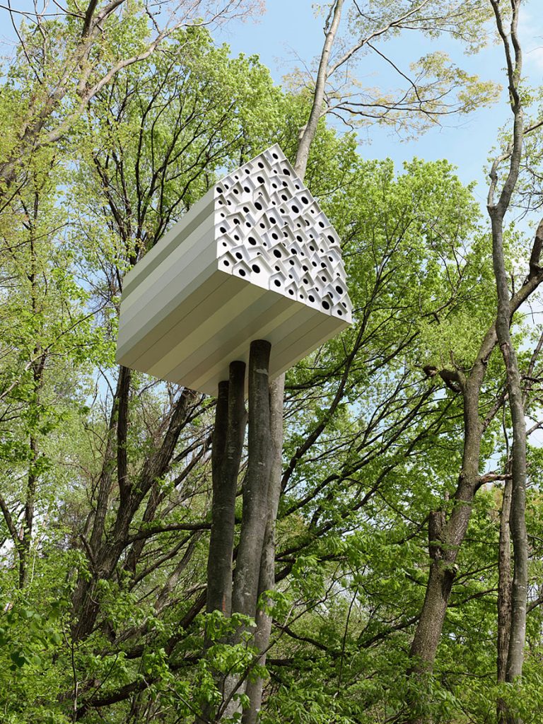 Most Astonishing Treehouses
