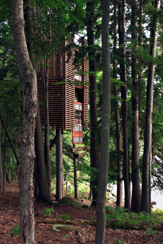 Most Astonishing Treehouses