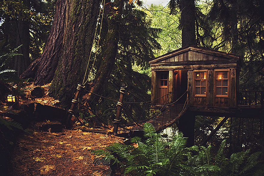 Most Astonishing Treehouses