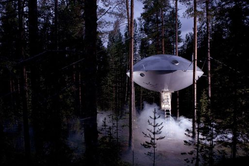 Most Astonishing Treehouses
