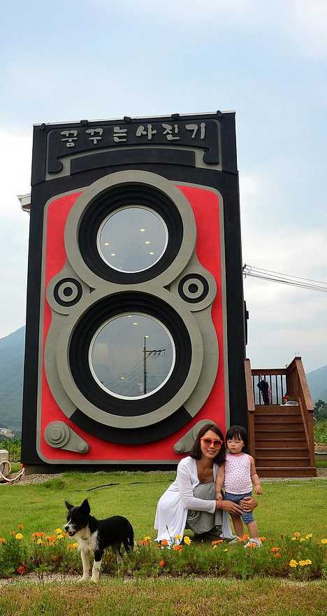 Architectural Design Look Like Camera Shape