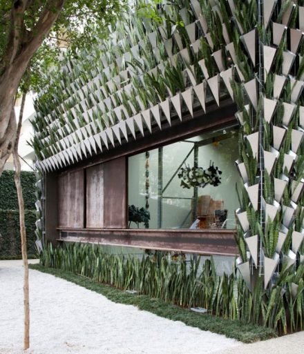 Contemporary and Sophisticated Exterior Treatments