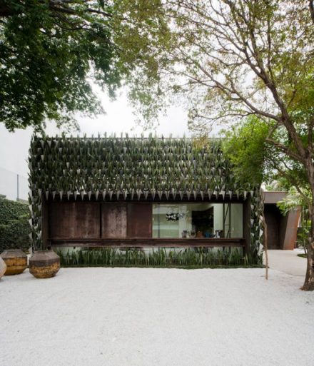 Contemporary and Sophisticated Exterior Treatments