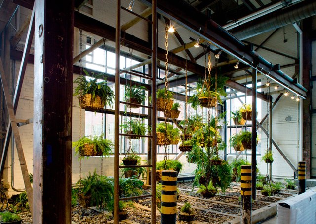 Trendiest Offices on Earth Where Working Feels Like Recreation