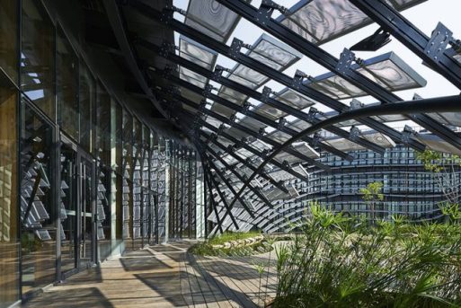 Contemporary and Sophisticated Exterior Treatments
