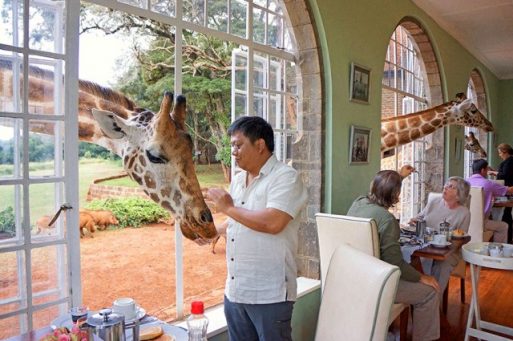 Most Unique Hotels on Earth