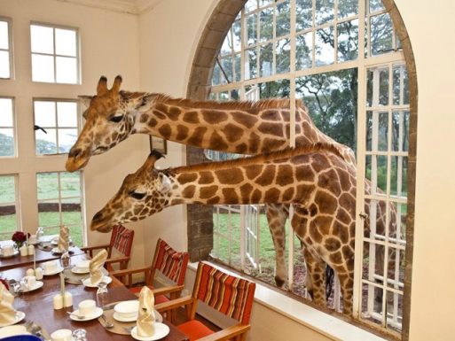 Most Unique Hotels on Earth