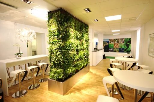 9 Ide Kreatif Pembatas Ruangan dan Partisi Kantor