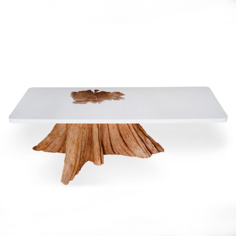 Vernish Epoxi pada Furniture Interior