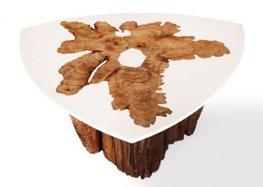 Vernish Epoxi pada Furniture Interior