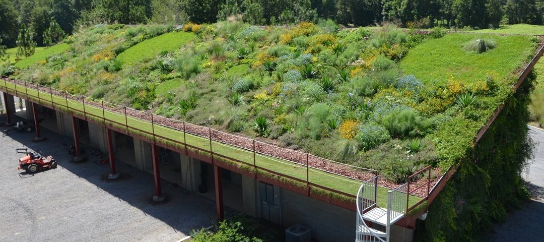 Green Roof
