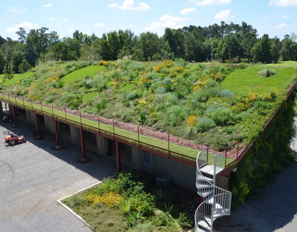 Green Roof
