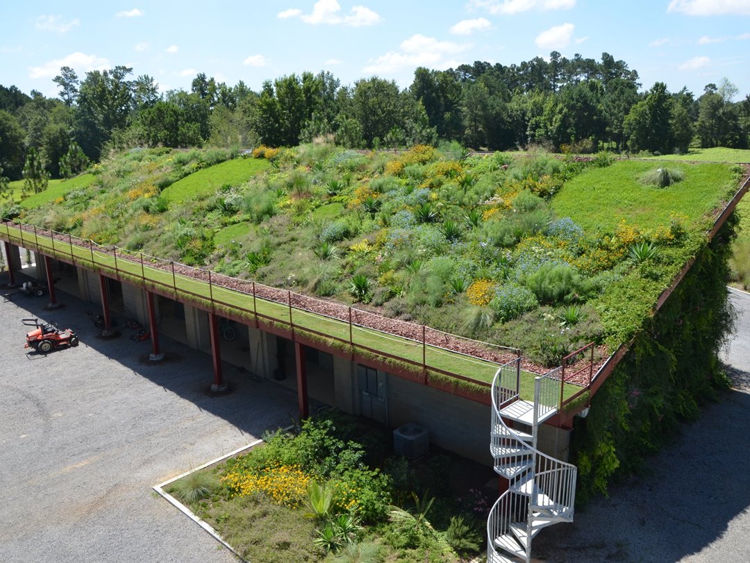 Green Roof